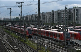 EU đơn giản hóa quy định về hạ tầng đường sắt, thúc đẩy giao thông xanh