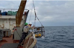 Việt Nam và Nga hợp tác nghiên cứu về biển và thềm lục địa