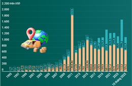 Thương mại song phương Việt Nam - Nam Phi