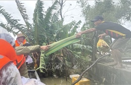 Tiếp cận cung cấp lương thực cho người dân sau khi lũ rút tại xã Hoà Thịnh