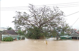 Mưa lũ đã gây thiệt hại hơn 5.300 tỷ đồng tại Đắk Lắk