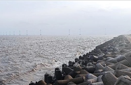 Đầu tư gần 100 tỷ đồng xây dựng kè chống sạt lở tại xã Gành Hào