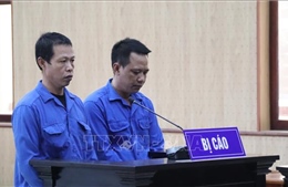 Phạt tù hai thuyền trưởng tổ chức xuất cảnh trái phép