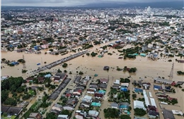 Chuyên gia khuyến nghị ASEAN cần tư duy xuyên khu vực để ứng phó thiên tai