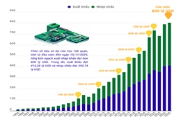 Xuất nhập khẩu cán mốc kỷ lục 800 tỷ USD