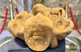 Đầu tượng Phật Linh Sơn Bắc và Mộ vò Gò Cây Trâm là bảo vật quốc gia