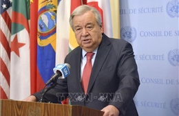 Cộng đồng quốc tế thúc đẩy tiến trình hướng tới giải pháp hai nhà nước