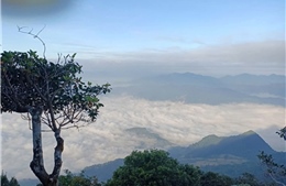 Đánh thức tiềm năng du lịch sinh thái rừng đặc dụng Pù Luông