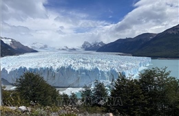 Lần đầu tiên công bố dữ liệu về thảm thực vật ở Nam Cực