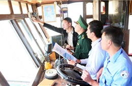 Quảng Trị triệt để ngăn chặn các vi phạm IUU - Bài 1: Siết chặt từ cảng cá đến ngư trường