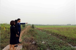 Hưng Yên: Xã đầu tiên cấp &#39;sổ đỏ&#39; cho doanh nghiệp sử dụng đất, thuê đất 50 năm