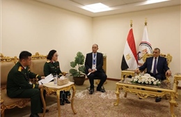 Việt Nam, Ai Cập nhất trí đẩy mạnh hợp tác trong lĩnh vực công nghiệp quốc phòng