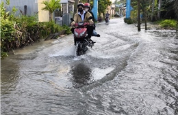 Triều cường vùng ven biển Bắc Bộ, Đồng Nam Bộ có xu hướng giảm