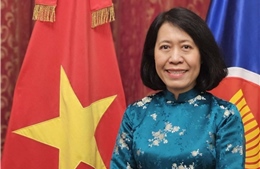 Việt Nam, Paraguay tăng cường quan hệ hữu nghị và hợp tác