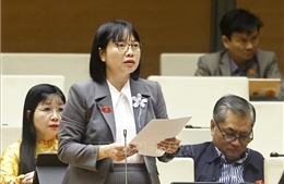 Tránh tình trạng luật phải chờ nghị định, thông tư hướng dẫn