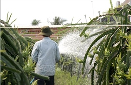 Lâm Đồng khẩn trương khôi phục sản xuất nông nghiệp sau mưa lũ