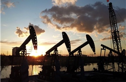 Giá dầu đi xuống khi đàm phán hòa bình Nga - Ukraine có tiến triển