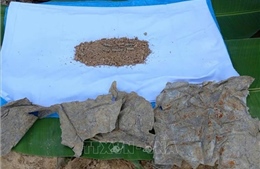 Cất bốc 5 hài cốt liệt sĩ ở Lào và Campuchia