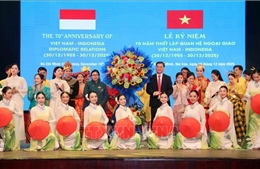 Cầu nối tích cực thúc đẩy quan hệ hữu nghị, hợp tác Việt Nam - Indonesia
