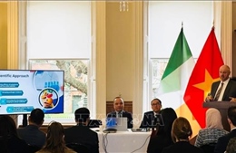 Việt Nam - Đối tác kinh tế năng động và giàu tiềm năng nhất của Ireland tại ASEAN