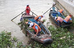 Cần Thơ: Ra quân thu gom rác thải, làm sạch bờ sông, kênh, rạch