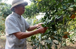 Câu chuyện đẹp về nghị lực và tinh thần cống hiến