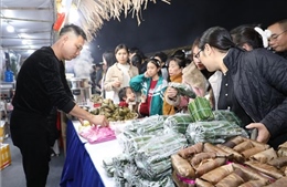 Khai mạc Liên hoan ẩm thực du lịch Ninh Bình năm 2025