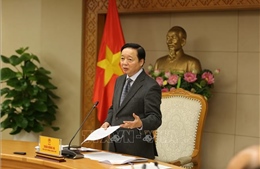 Khẩn trương hoàn thiện khung pháp lý, chuyển sang nhật ký khai thác thủy sản điện tử