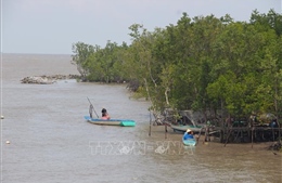 Cà Mau phấn đấu cơ bản xử lý sạt lở bờ sông, bờ biển vào năm 2030