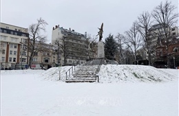 Châu Âu chật vật trong băng tuyết, ít nhất 8 người thiệt mạng