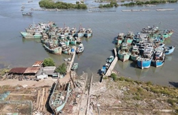 TP Hồ Chí Minh quản lý tất cả tàu cá trên hệ thống Vnfishbase