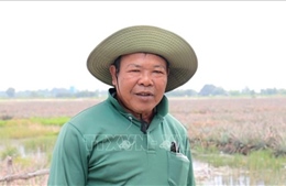 Đại hội XIV của Đảng: Niềm tin vào vận hội mới của dân tộc