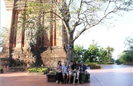 Đắk Lắk kích cầu du lịch năm 2026 với dấu ấn 'Về miền di sản'