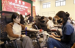 Lễ hội Xuân hồng 2026 - Trao gửi yêu thương tại khu công nghiệp Phú Thọ