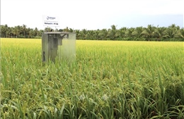 Nghị quyết 57-NQ/TW và nông nghiệp xanh - Bài cuối: Dịch chuyển rõ nét từ các trụ cột