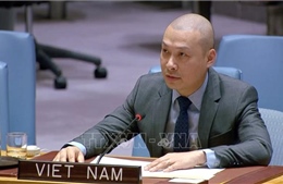 Việt Nam ủng hộ mọi sáng kiến giải quyết xung đột, kiến tạo hoà bình của LHQ