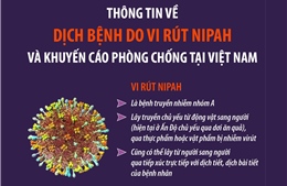Thông tin về dịch bệnh do vi rút Nipah và khuyến cáo phòng chống tại Việt Nam