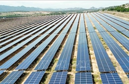 Nghị quyết 70-NQ/TW và mục tiêu thành 'thủ phủ' năng lượng tái tạo của Khánh Hòa - Bài 1: Thiên thời, địa lợi