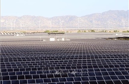 Nghị quyết 70-NQ/TW và mục tiêu thành 'thủ phủ' năng lượng tái tạo của Khánh Hòa - Bài 2: Từ quyết tâm chính trị đến hành động