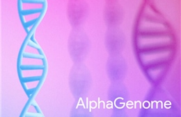 Google ra mắt công cụ AI giúp giải mã những bí ẩn của bộ gene người