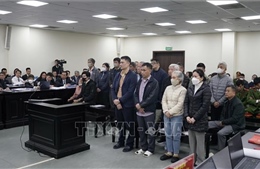 Cựu Viện trưởng Viện Y dược học dân tộc TP Hồ Chí Minh bị đề nghị từ 15-17 năm tù