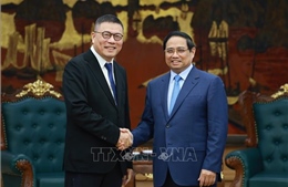 Thủ tướng Phạm Minh Chính tiếp Chủ tịch Tập đoàn Texhong, Trung Quốc