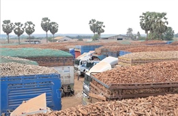 Sự kiện kinh tế Việt Nam nổi bật tuần qua