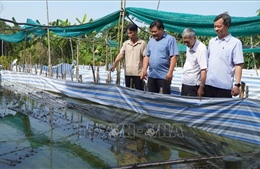 96 năm thành lập Đảng: Bí thư chi bộ xuất sắc của đất Sen hồng
