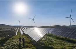 EU điều tra nghi vấn trợ cấp đối với doanh nghiệp điện gió Trung Quốc