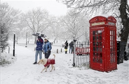 Một loạt nước châu Âu cảnh báo về bão và tuyết