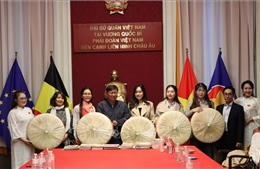 Lan tỏa giá trị văn hóa Việt, thắt chặt nghĩa tình với kiều bào tại Vương quốc Bỉ