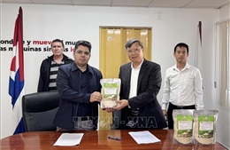 Việt Nam hỗ trợ Cuba đảm bảo an ninh lương thực