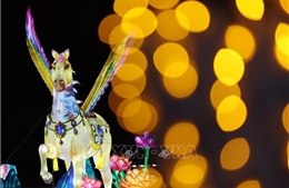 Không khí chờ đón Tết Nguyên đán tại một số quốc gia