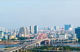 Kiều bào và khát vọng xây dựng Hải Phòng vươn tầm thế giới